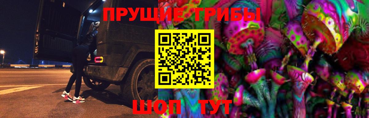 Псилоцибиновые грибы Cubensis Алейск
