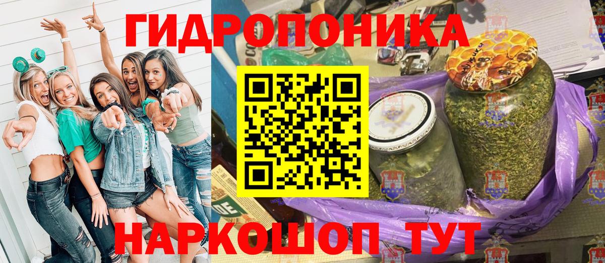 Каннабис план Алейск